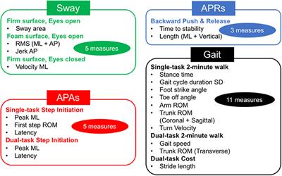 Responsiveness of Objective vs. Clinical Balance Domain Outcomes for Exercise Intervention in Parkinson's Disease